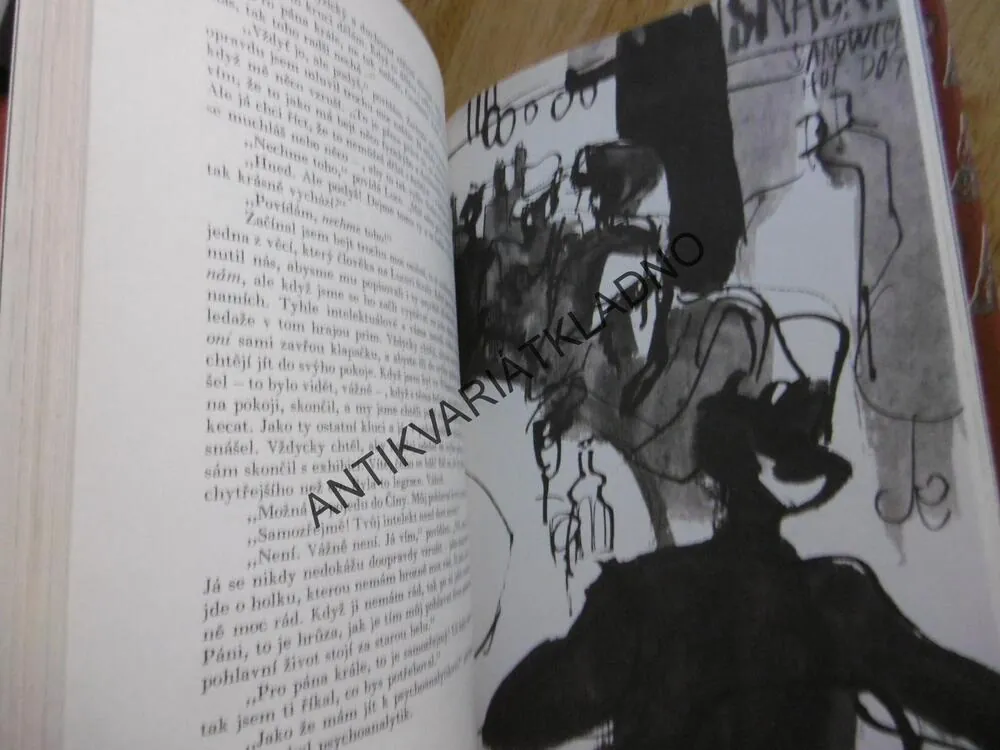 KDO CHYTÁ V ŽITĚ, J.D. SALINGER, **an