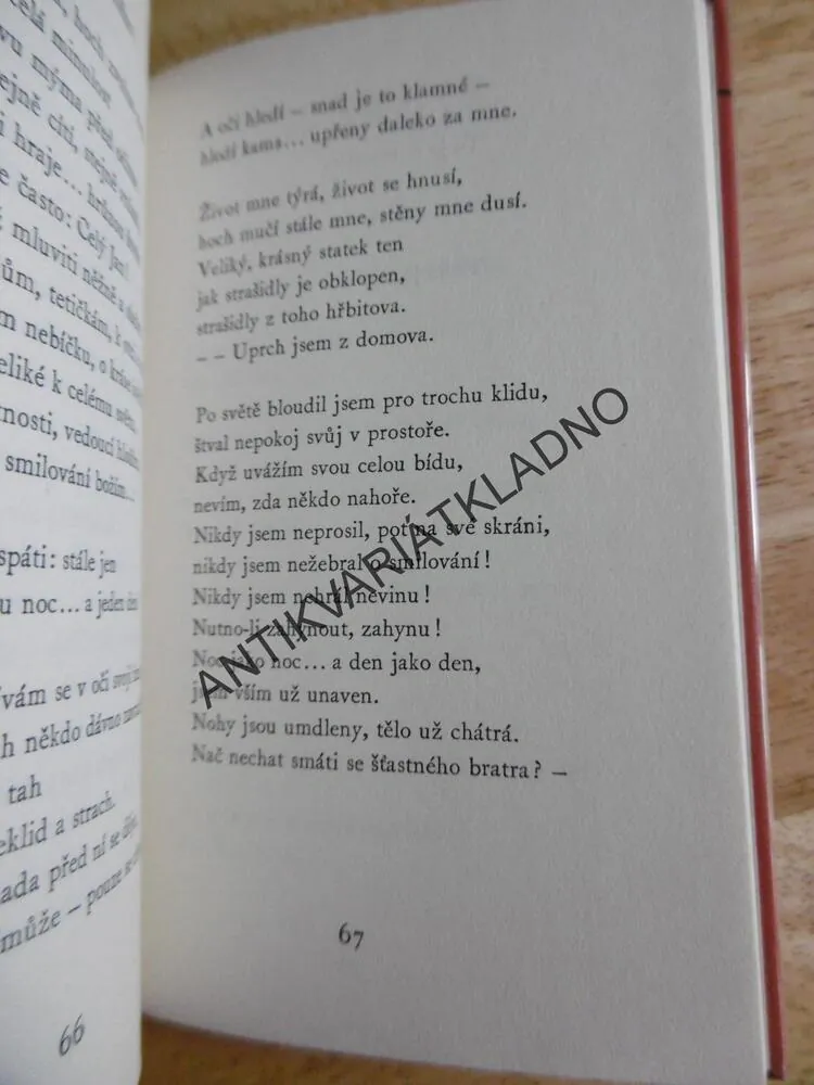 MILÁ SEDMI LOUPEŽNÍKŮ, VIKTORY DYK