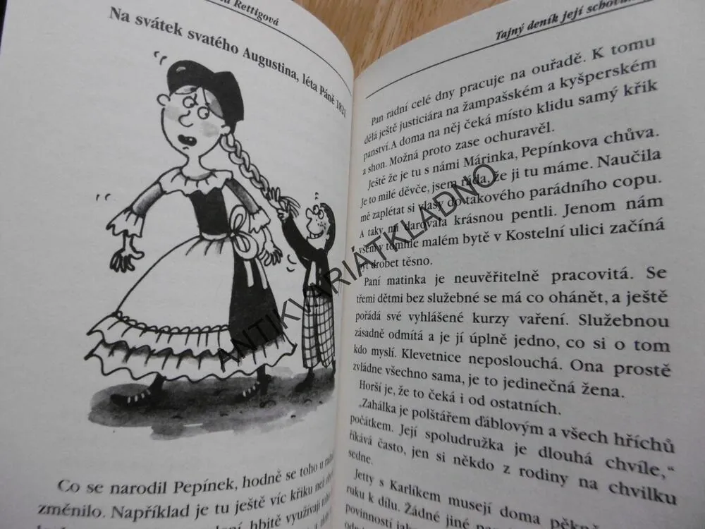 TAJNÝ DENÍK JEJÍ SCHOVANKY, MAGDALENA DOBROMILA RETTIGOVÁ,