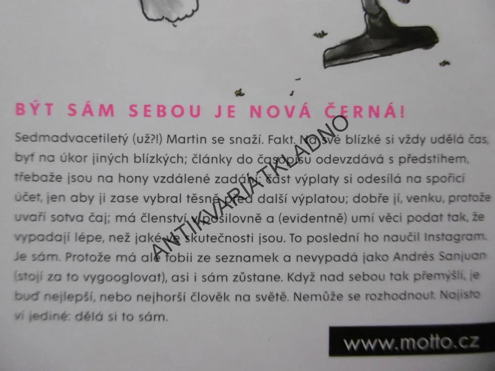 DĚLÁM SI TO SÁM, MARTIN VÁŠA, **an