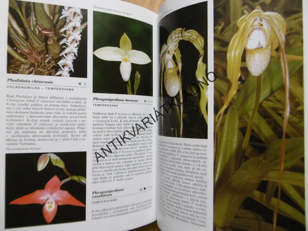 ENCYKLOPEDIE ORCHIDEJE, ZDENĚK JEŽEK