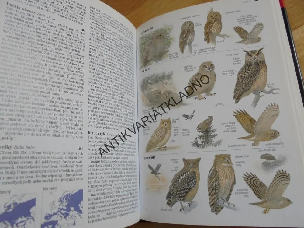 PTÁCI EVROPY,S.AFRIKY,BLÍZKÝ VÝCHOD, PŘÍRUČKA, ATLAS