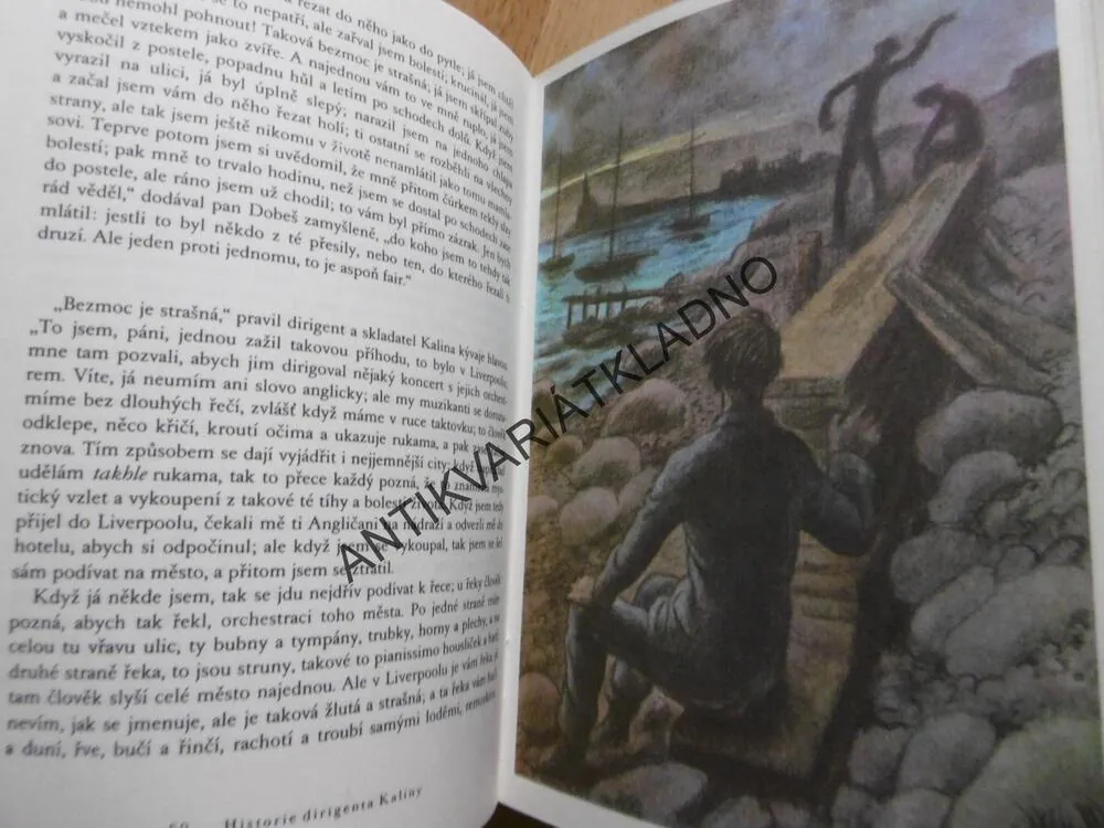 POVÍDKY Z JEDNÉ A DRUHÉ KAPSY, KAREL ČAPEK, CYRIL BOUDA, **an