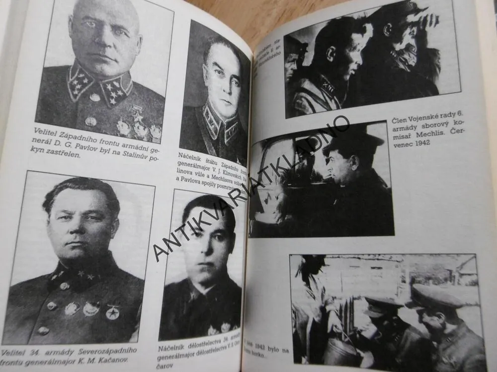 MECHLIS, JURIJ RUBCOV, **an