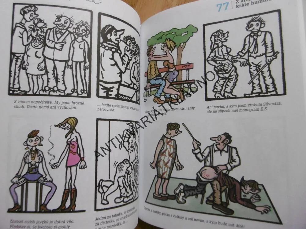 Z ARCHÍVŮ KRÁLE HUMORU, NEPRAKTA, JIŘÍ WINTER, ŠVANDRLÍK