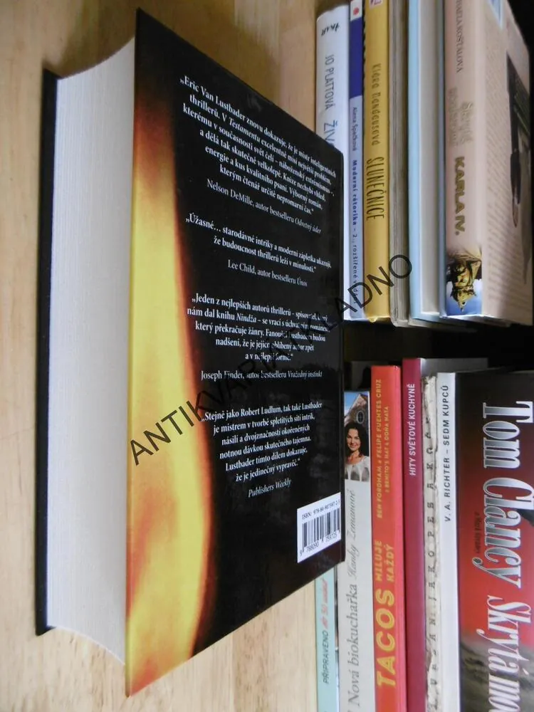 TESTAMENT, ERIC VAN LUSTBADER, BRAVO SHAW, KNIHA PRVNÍ, **an