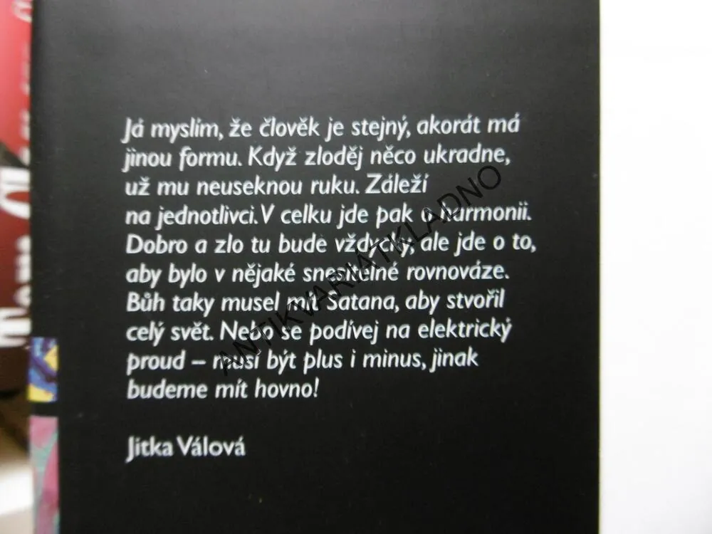 NEOČEKÁVANÉ NÁHODY, RADAN WAGNER, TŘICET ROZHOVORŮ O UMĚNÍ , UMĚNÍ VÝTVARNÉ, **an