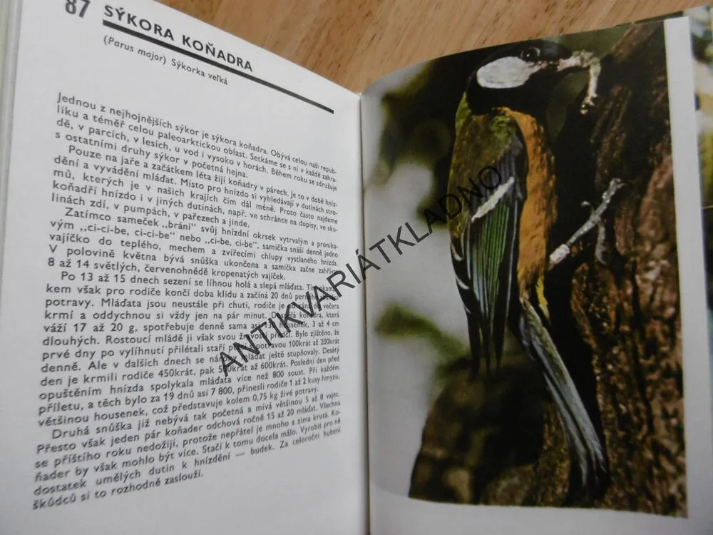 KAPESNÍ ATLAS PTÁKŮ, BOUCHNER, **an