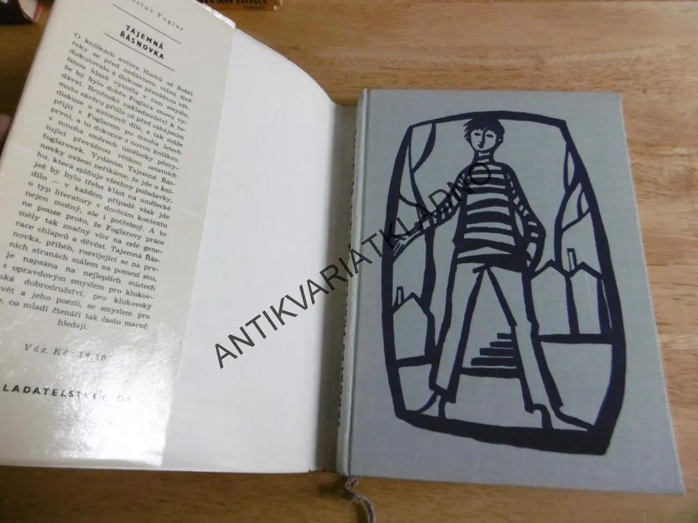 TAJEMNÁ ŘÁSNOVKA, JAROSLAV FOGLAR, 1965, **an