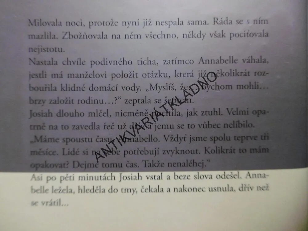 ŠLECHETNÁ ŽENA, DANIELLE STEEL