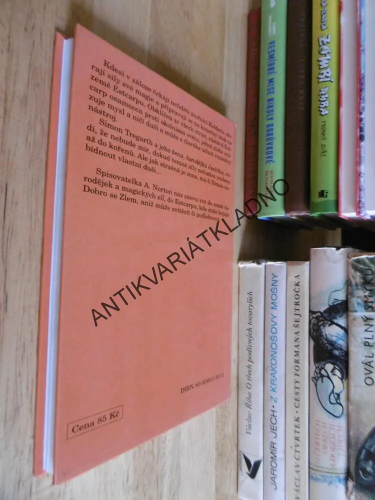 STÍN NAD SVĚTEM ČARODĚJNIC, ANDRE NORTON, **an
