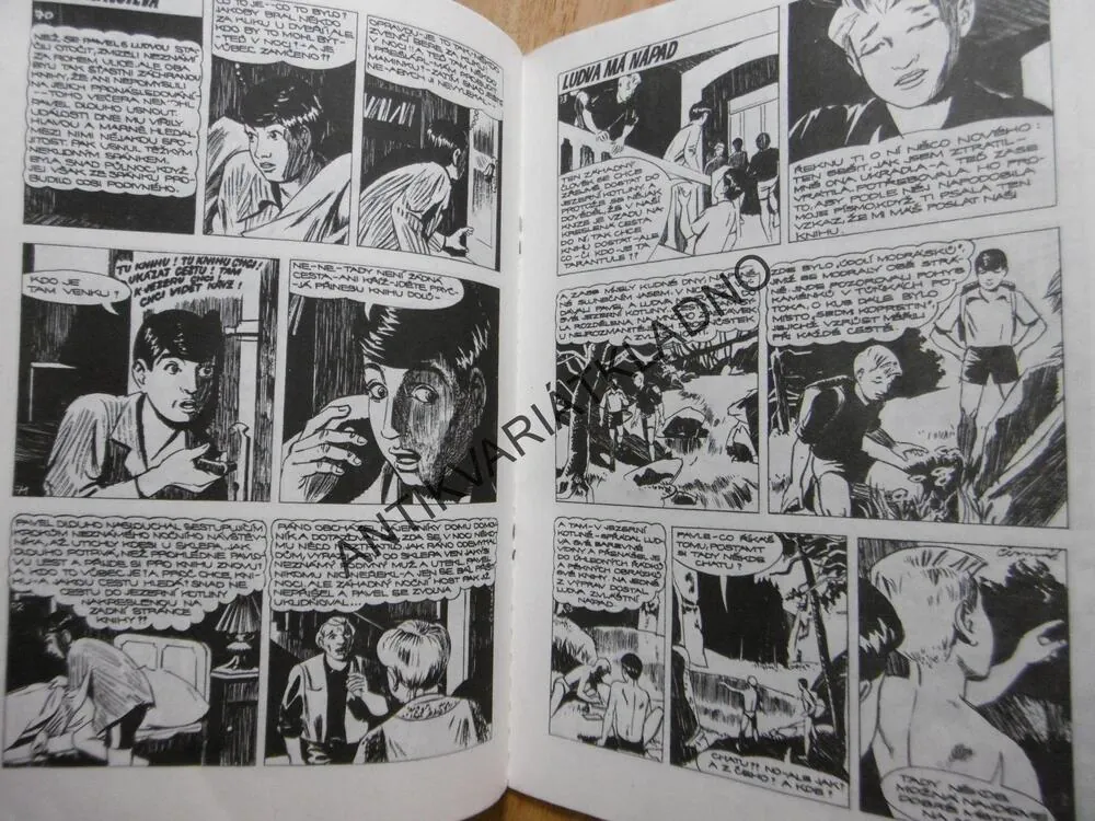 CHATA V JEZERNÍ KOTLINĚ, FOGLAR, MARKO ČERMÁK, KOMIKS,