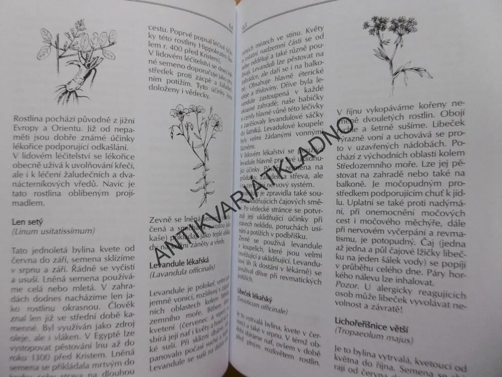 DOMÁCÍ RECEPTY PROTI NEMOCEM, FRANZISKA VON AU, PRO ZDRAVÍ  Z BABIČČINY LÉKÁRNIČKY, **an