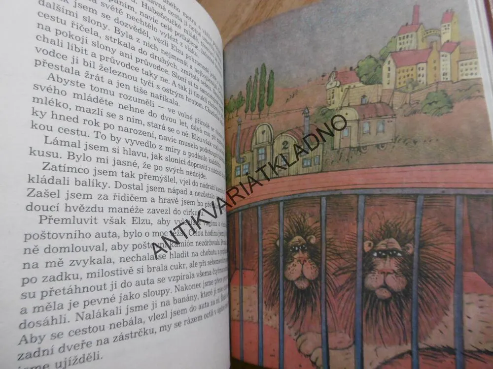 PŘIJEDE CIRKUS!, VALENTIN FILATOV, RUDOLF ŠTORKÁN, 1988, **an