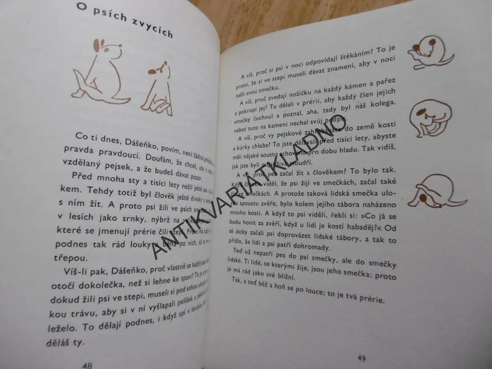 DÁŠENKA, ČILI ŽIVOT ŠTĚNĚTE, KAREL ČAPEK,1988, **an