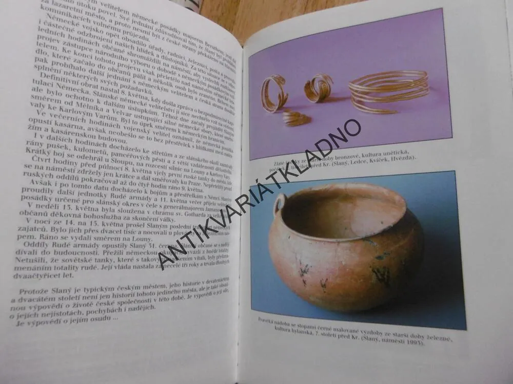 KNIHA O SLANÉM, SLANÝ, OKR. KLADNO, 1994, obal pěkný,**an