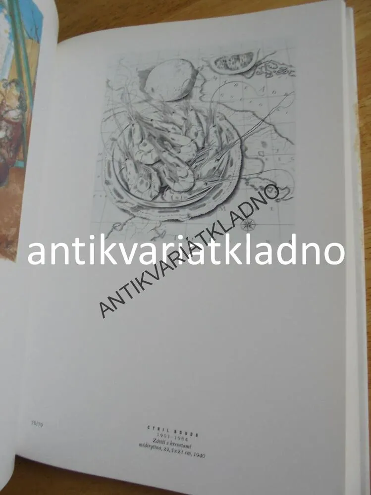 ČESKÁ GRAFIKA 20.ST., HOLLAR, UMĚNÍ VÝTVARNÉ