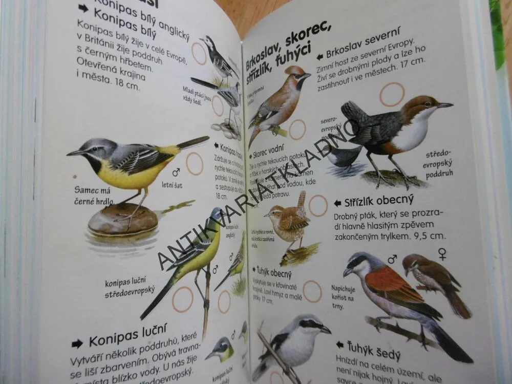 PRŮVODCE PŘÍRODOU DO KAPSY, KVĚTINY, STROMY, PTÁCI, HMYZ, **an