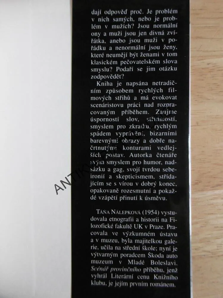 SCÉNÁŘ PROVINČNÍHO PŘÍBĚHU, TÁŇA NÁLEPKOVÁ, **an