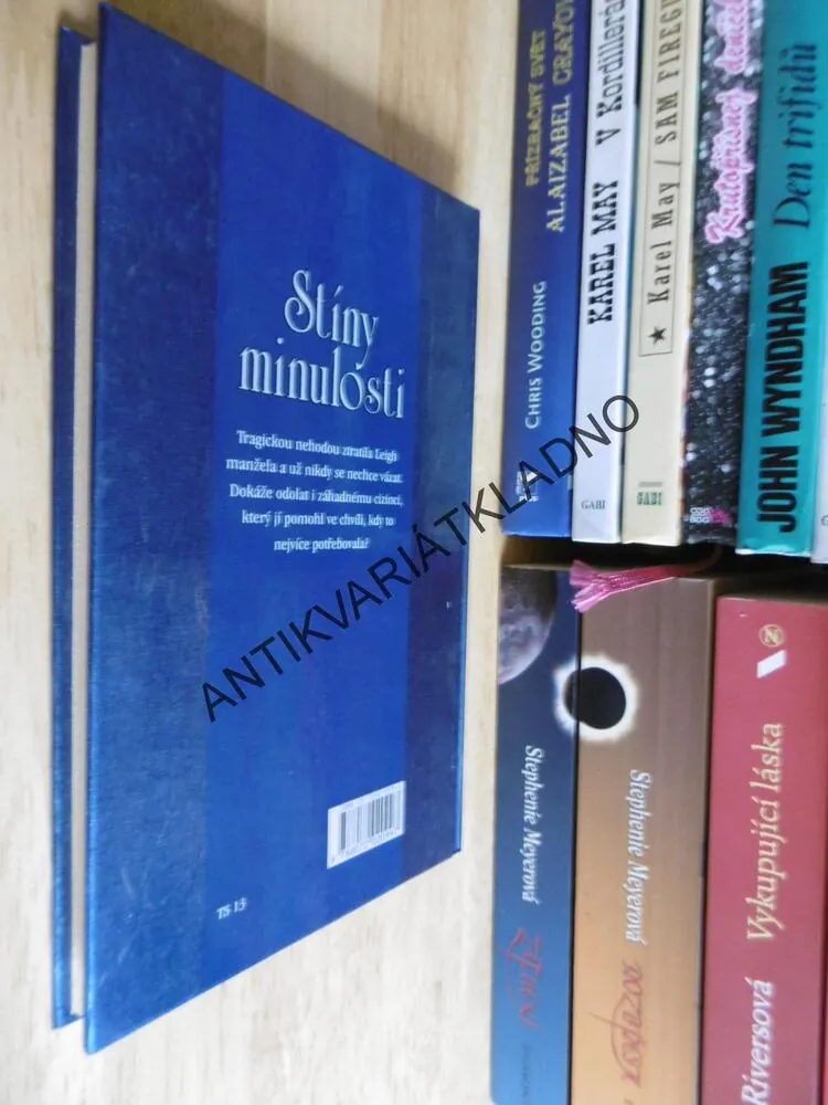 STÍNY MINULOSTI, SANDRA BROWNOVÁ, **an