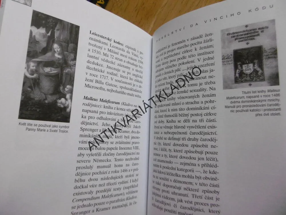 POSELSTVÍ DA VINCIHO KÓDU, RENÉ CHANDELLE, **an