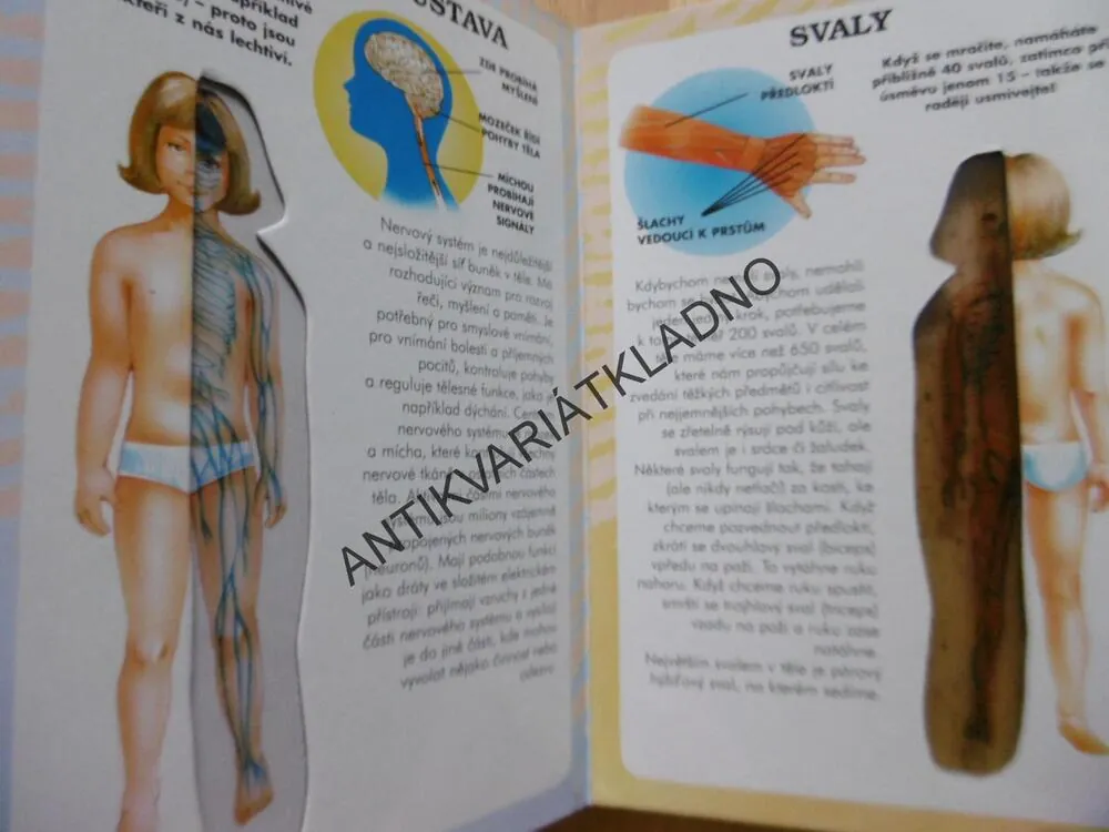 MOJE PRVNÍ KNIHA O LIDSKÉM TĚLE, **an