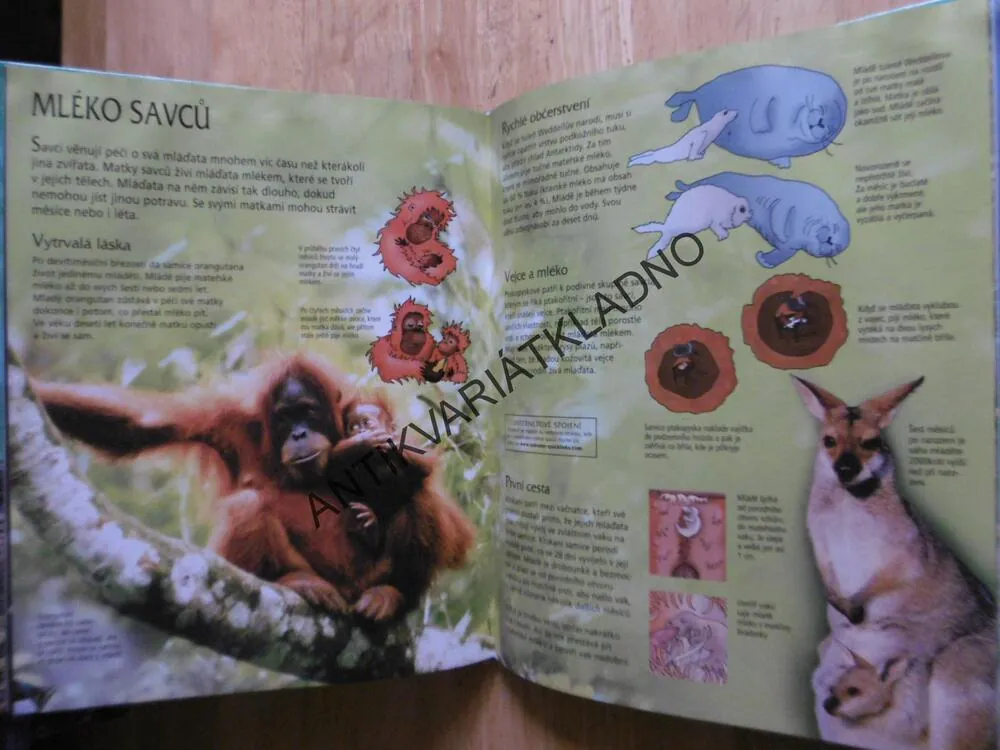 TAJEMSTVÍ A ZÁZRAKY PŘÍRODY S PROPOJENÍM NA INTERNET, **an