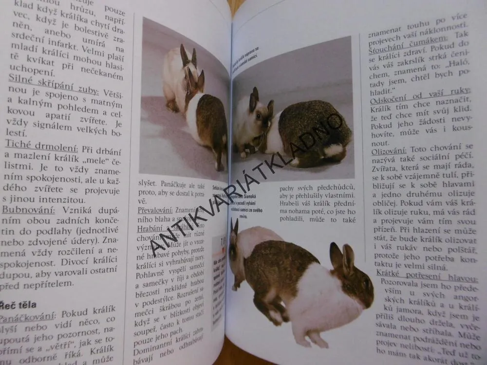 NÁŠ ZAKRSLÝ KRÁLÍK, JAK NA TO, NAŠE ZVÍŘÁTKO, MONIKA WEGLER, **an