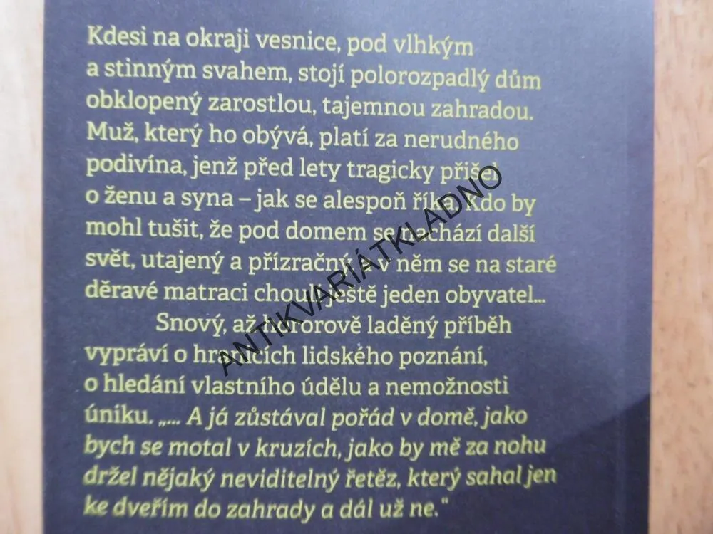 DŮM BEZ OKEN, MILAN URZA, 