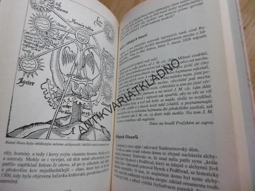 TOULKY ČESKÝM TAJEMNEM 1., ALEŠ ČESAL, **an