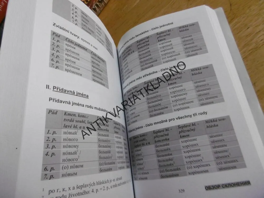 RUŠTINA PRO ZAČÁTEČNÍKY A SAMOUKY, RUSKÝ JAZYK, VČETNĚ CD!