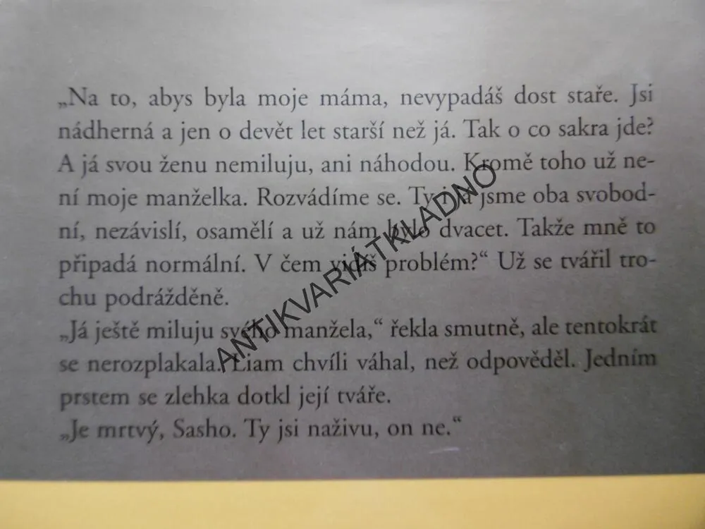 NEROVNÝ VZTAH, DANIELLE STEEL, **an