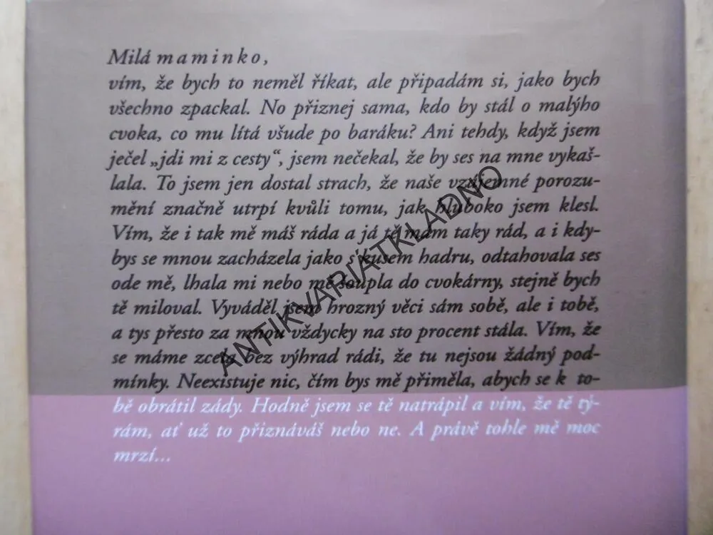 JEHO SVĚTLO, DANIELLE STEEL, **an