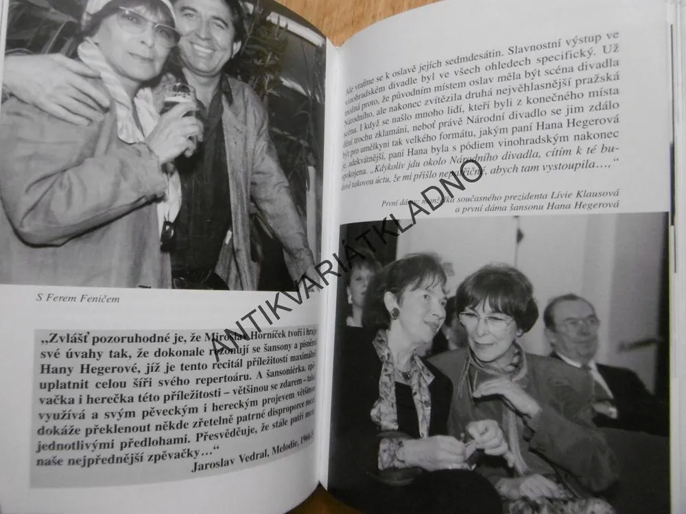 HANA HEGEROVÁ, ORIGINÁLNÍ A SVÁ, MICHAELA KOŠŤÁLOVÁ, **an