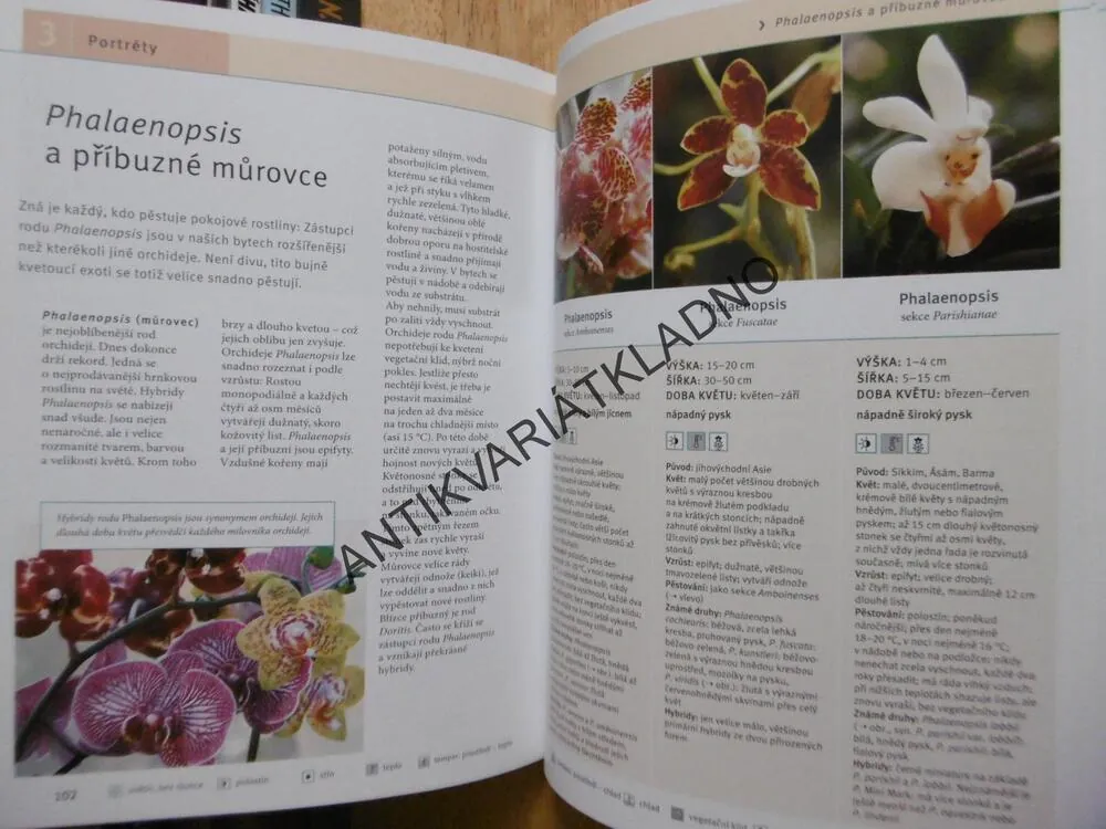 ORCHIDEJE, KROK ZA KROKEM K EXOTICKÉ KRÁSE KVĚTIN, FRANK RÖLLKE, ZAHRADA PRO RADOST