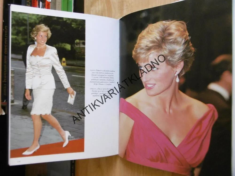 DIANA, KRÁLOVNA LIDSKÝCH SRDCÍ, MICHAEL O´MARA