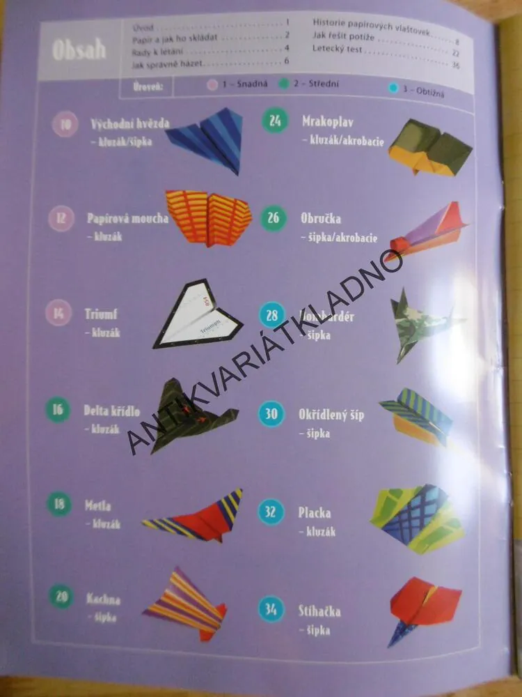12 ÚŽASNÝCH PAPÍROVÝCH VLAŠTOVEK,