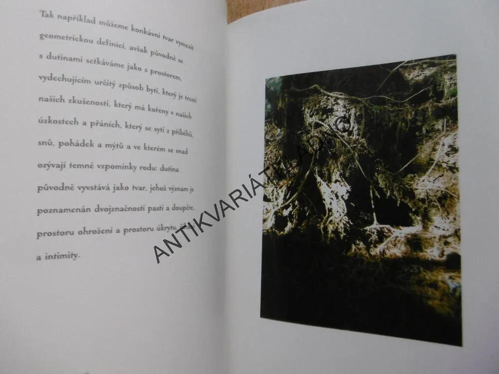 TICHÉ LABYRINTY, PETR HRUŠKA, MICHAL AJVAZ, **an