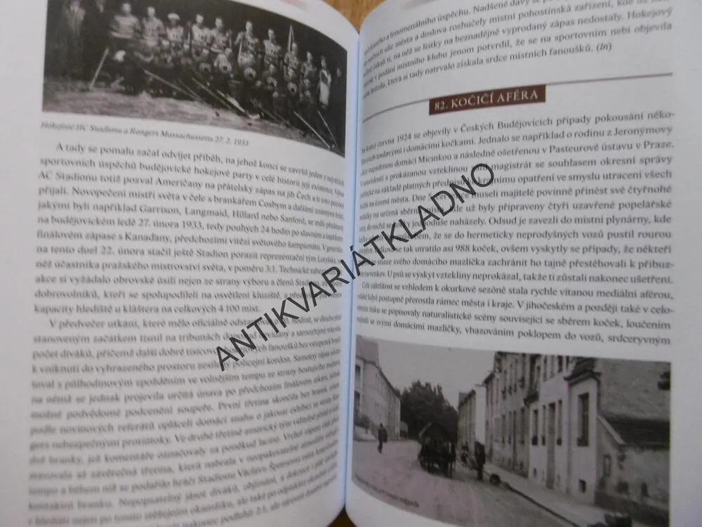100 ZAJÍMAVOSTÍ ZE STARÝCH ČESKÝCH BUDĚJOVIC, 