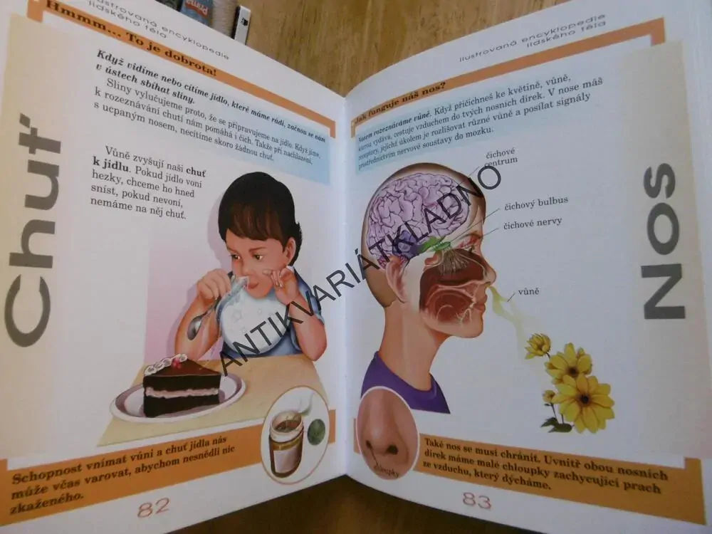 LIDSKÉ TĚLO, ANATOMIE, ILUSTROVANÁ ENCYKLOPEDIE, **an