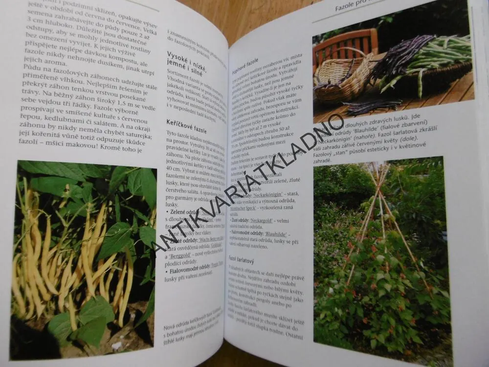 BIO ZAHRÁDKA, PĚSTOVÁNÍ BLÍZKÉ PŘÍRODĚ, MARIE-LUISE KREUTEROVÁ, **an