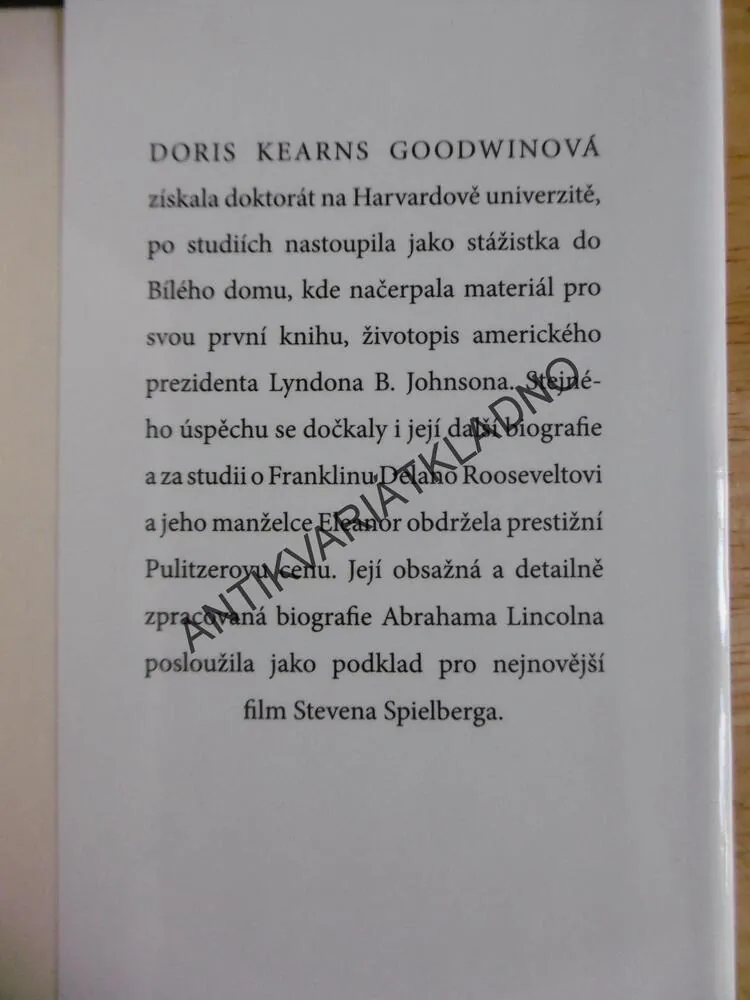 LINCOLN, TÝM RIVALŮ, DORIS KEARNS GOODWINOVÁ, ABRAHAM LINCOLN