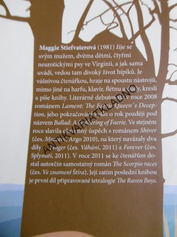 VE ZNAMENÍ ŠTÍRA, MAGGIE STIEFVATEROVÁ