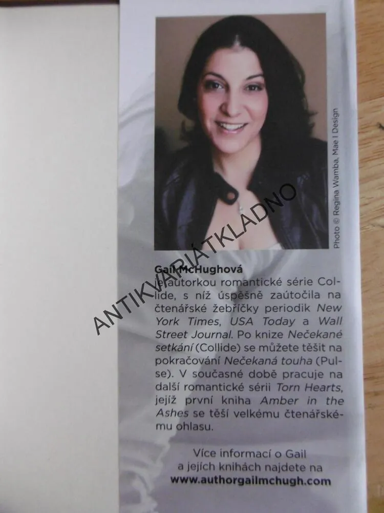 NEČEKANÉ SETKÁNÍ, GAIL MCHUGHOVÁ