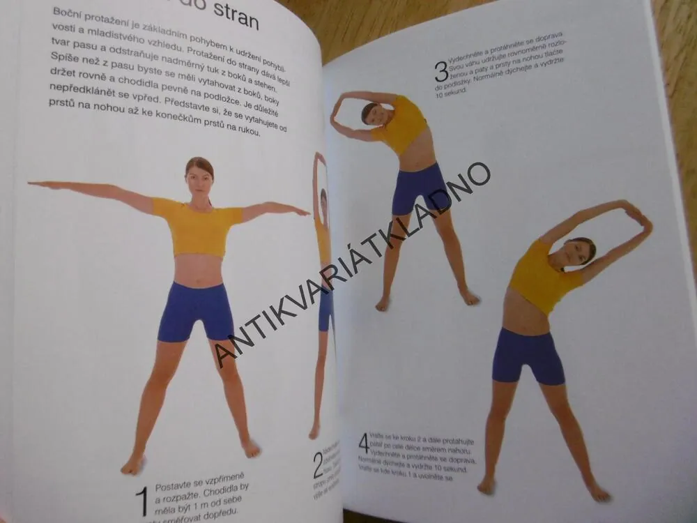 ZÁKLADY JÓGY, JÓGA, VIMLA LALVANI