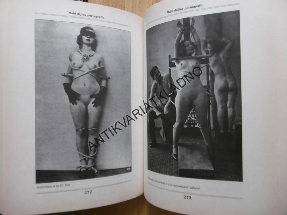 MALÉ DĚJINY PORNOGRAFIE, VÁCLAV SPÁN, **an