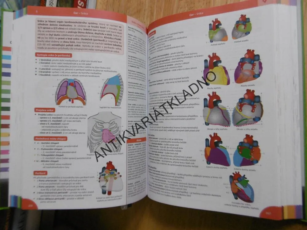 MEMORIX ANATOMIE, RADOVAN HUDÁK, KACHLÍK, 4.VYDÁNÍ, 2019