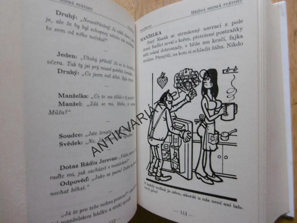 VELKÁ ILUSTROVANÁ ENCYKLOPEDIE SEXYANEKDOT, PLACHETKA, NEPRAKTA, **an