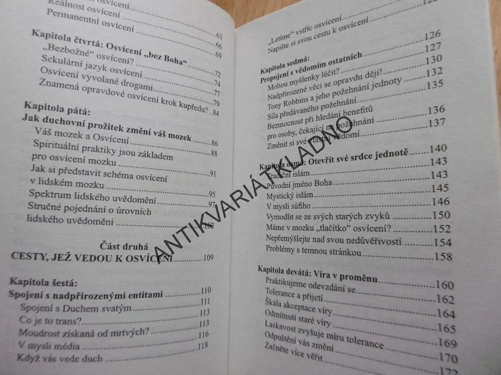 JAKÉ PROŽITKY MĚNÍ NÁŠ MOZEK, ANDREW NEWBERG, **an