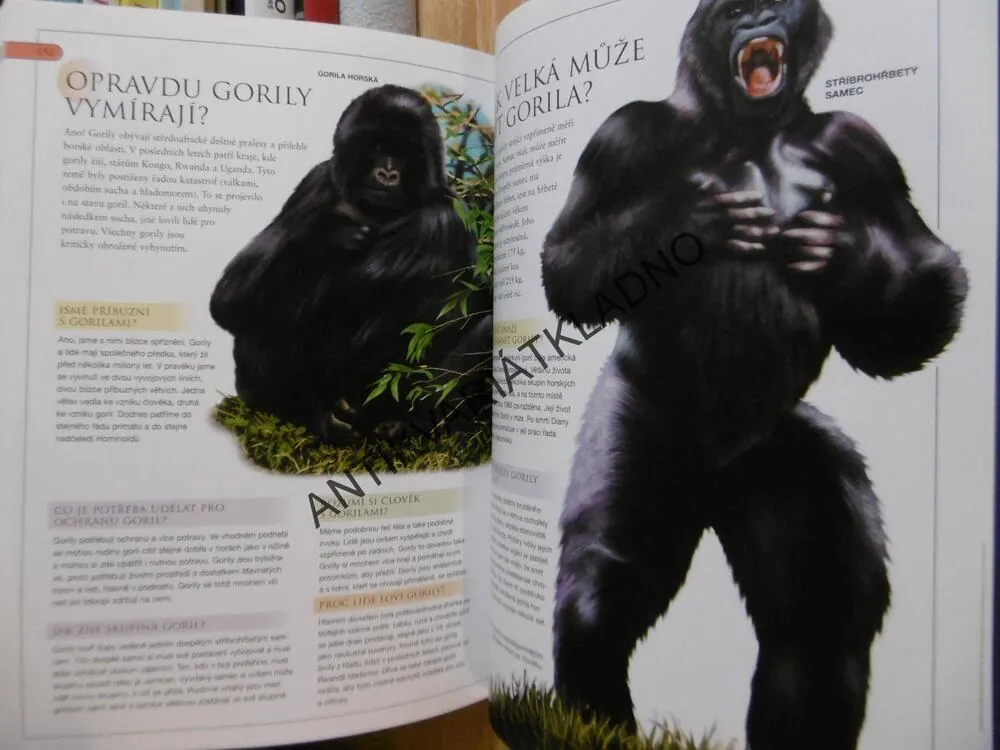 OTÁZKY A ODPOVĚDI- ZVÍŘATA,STOVKY ILUSTROVANÝCH ODPOVĚDÍ